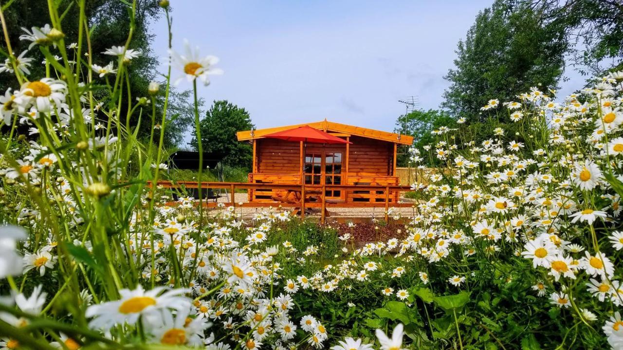 East Pool Cabin Lincoln Dış mekan fotoğraf